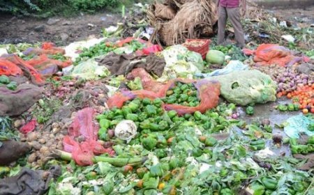Choosing the Right Track to Cut Post-Harvest Losses