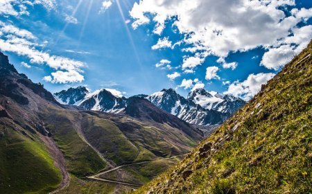 June 2024: A Roundup of ENVIRONMENT & GEOGRAPHY  News