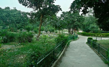 A Hole in Delhi’s Green Lung: A Battle for Environmental Preservation