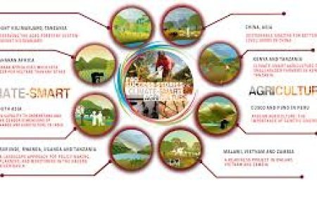 India's Approach to Climate Change Legislation