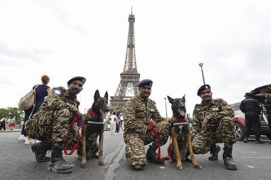 Indian Dogs to Guard Paris Olympics: A Showcase of Expertise