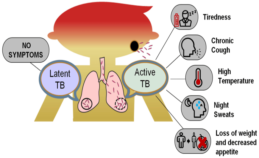 ICMR Ready to Transfer Technology for 'Breakthrough' TB Detection System