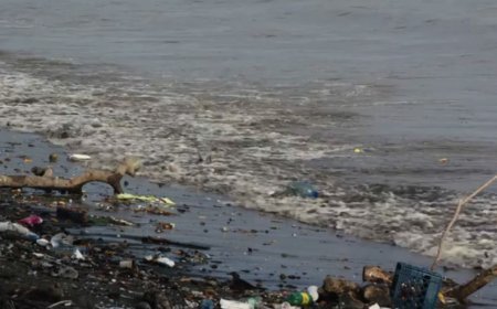 SC Highlights Need for Concerted Effort to Protect Waterbodies from Plastic Waste