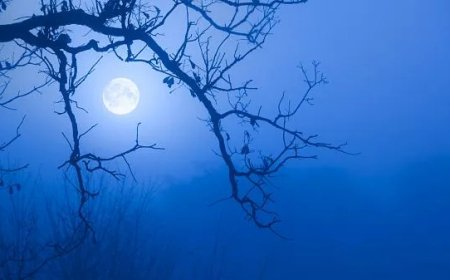 What is blue moon?