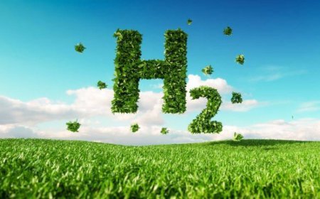 India’s Green Hydrogen Project: Leading the Path Towards Sustainable Energy