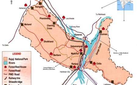 NHAI's Four-Lane Project through Rajaji and Shivalik Reserves