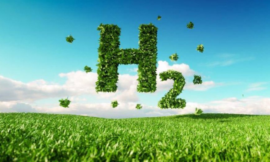 India’s Green Hydrogen Project: Leading the Path Towards Sustainable Energy