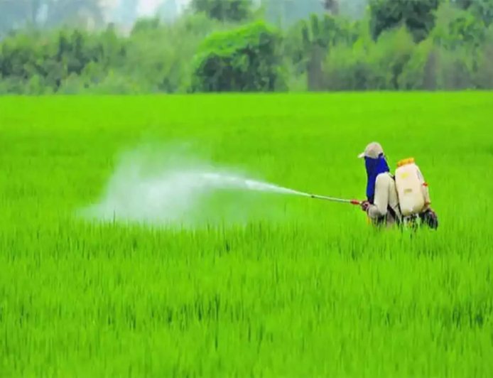 Government Extends Crop Insurance Schemes till 2025-26 with ₹824.77 Crore Tech Fund