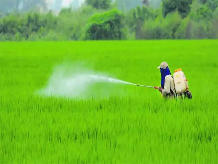 Government Extends Crop Insurance Schemes till 2025-26 with ₹824.77 Crore Tech Fund